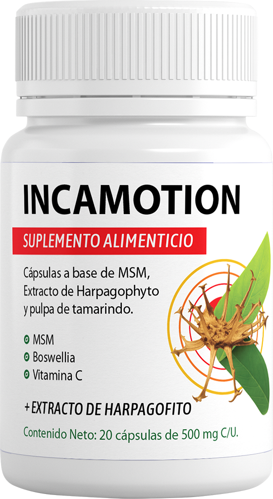 Incamotion - Opiniones 2026