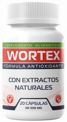 Wortex - Opiniones 2026